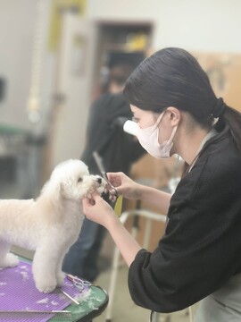 福山愛犬美容師会の求人のイメージ