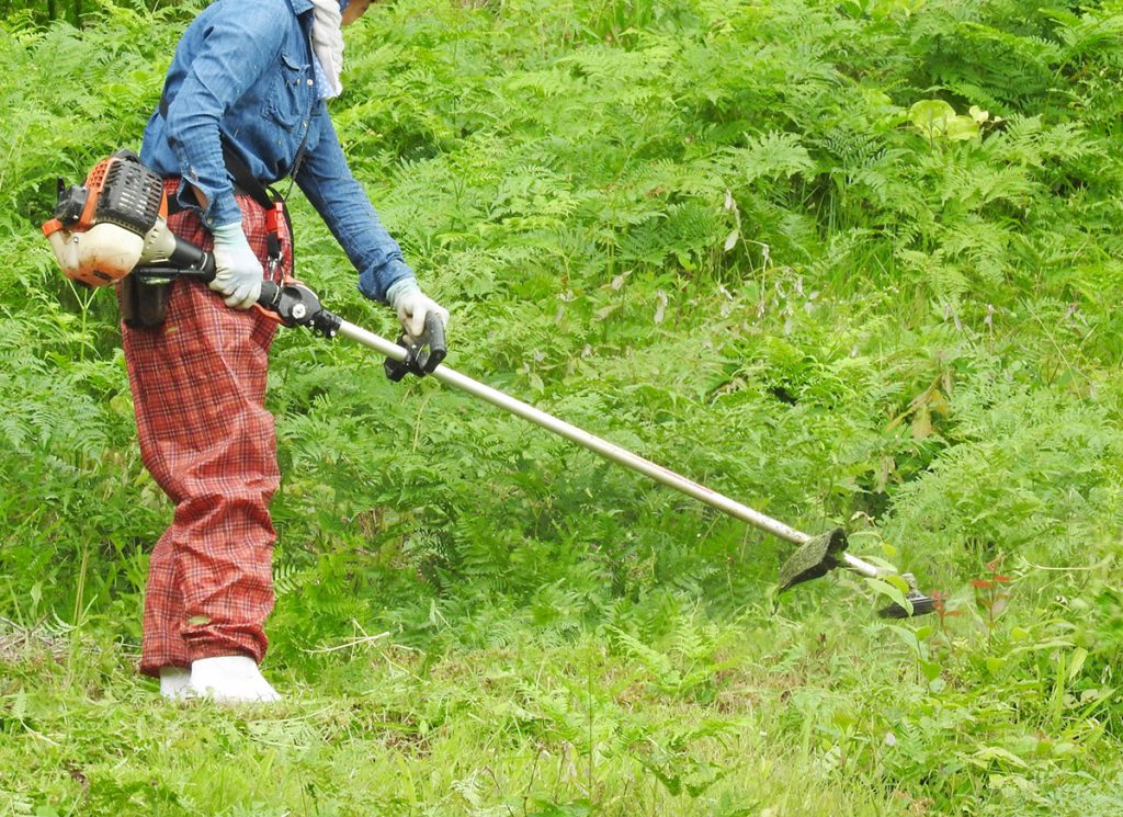 草刈機を使う女性