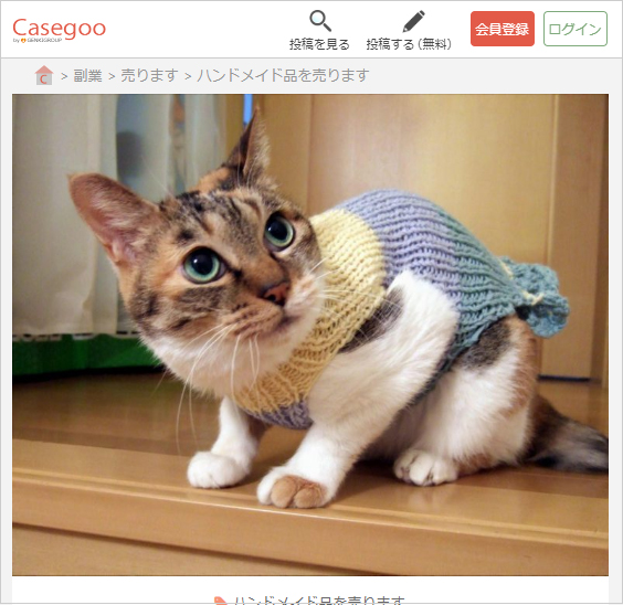 オーダーメイドの編み物の服を着た猫