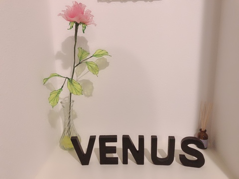 Venus Aroma〜mishima〜の仕事のイメージ