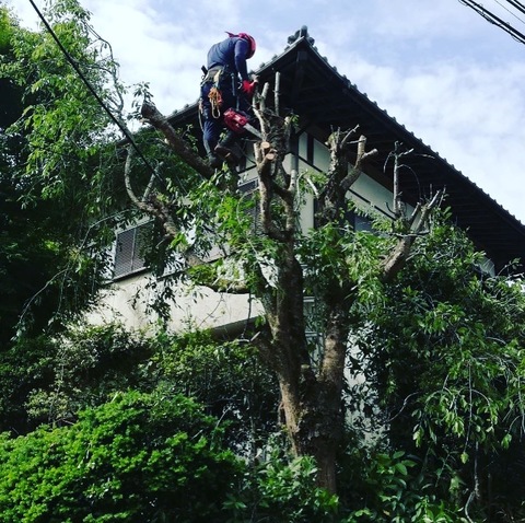 造園作業スタッフの求人 沼口協緑堂 C Genkiwork