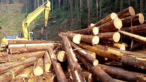 斉木木材産業（有）の求人のイメージ