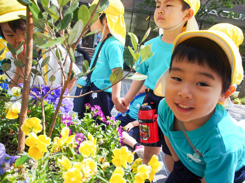 バイリンガル幼児園Cosmo Global Kids横浜馬車道の仕事のイメージ