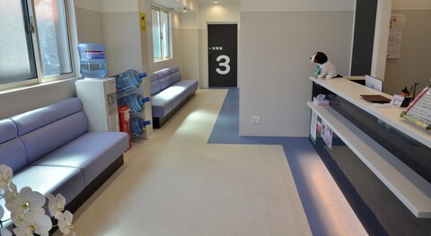 konomi動物病院の仕事のイメージ