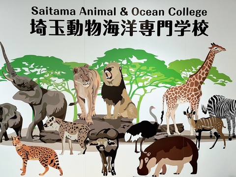 埼玉動物海洋専門学校の求人のイメージ
