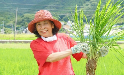 日本豊受自然農株式会社の先輩社員や代表者の画像