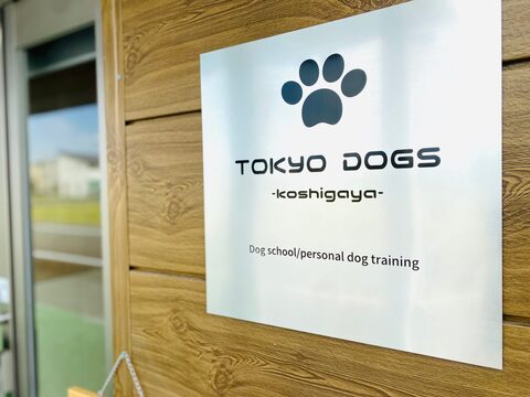 株式会社東京DOGSの仕事のイメージ