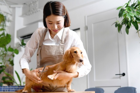 株式会社想（店舗：DOG LAB BREEDING）の求人のイメージ