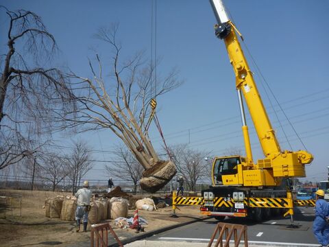 株式会社共楽園緑化土木の仕事のイメージ