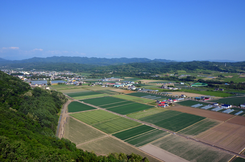 三笠市役所の求人のイメージ