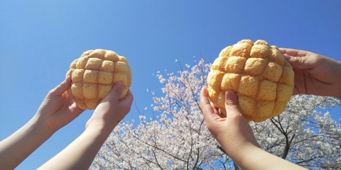 メロンパン屋の求人のイメージ